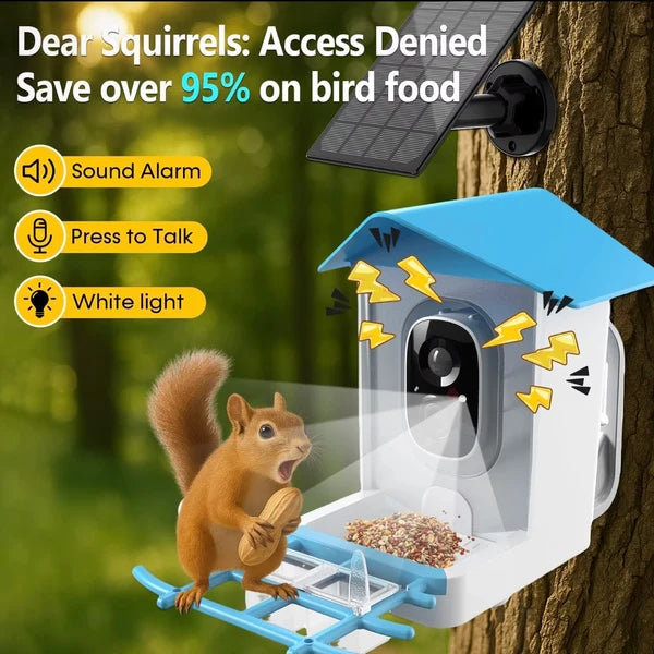 Solar Wireless Bird Feeder Camera — Watch Birds Live