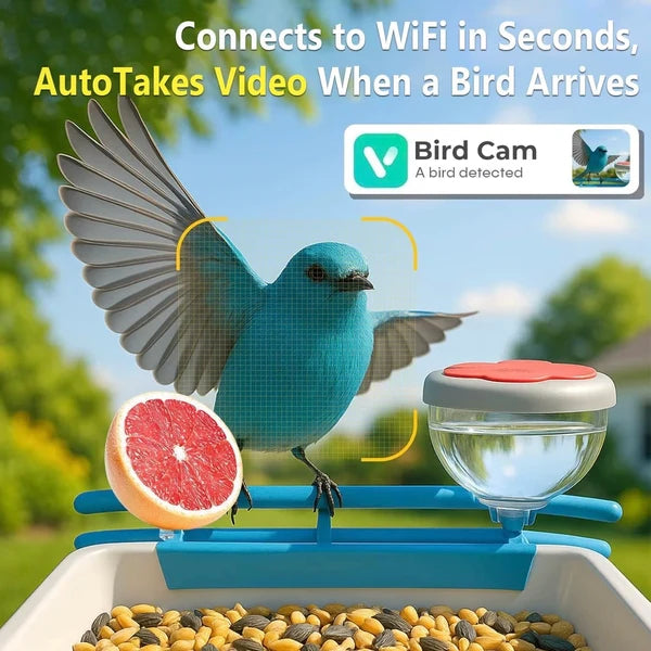 Solar Wireless Bird Feeder Camera — Watch Birds Live